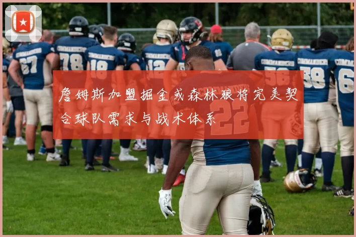 詹姆斯加盟掘金或森林狼将完美契合球队需求与战术体系
